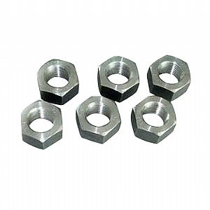 Stainless Steel Nuts