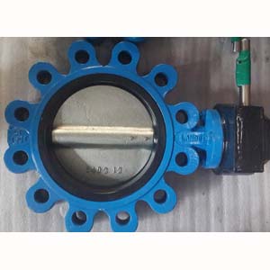 Lugged Butterfly Valve, Cast Iron, DN100, PN25