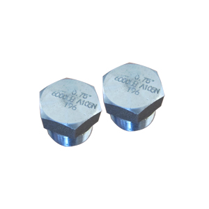 Hex Head Plug, ASTM A182 GR F51, UNS S31803, MNPT Ends